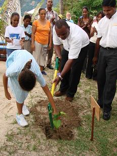 Hotel guests plant trees – and reduce carbon footprint