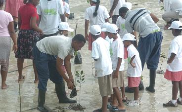 The launch of the coastal mangrove restoration project at Roche Caiman