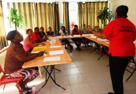 Youth council members at humanitarian law training