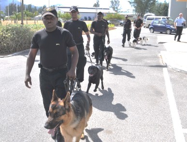 Police to train security guards