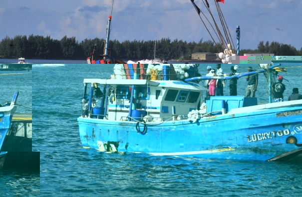 Boat suspected of illegal fishing brought to port