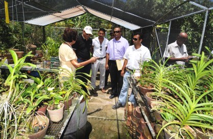 Ms Janker invited Minister Payet and his team to visit her nursery which boasts a variety of palms, succulents and other plants