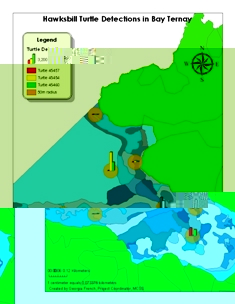 Map showing turtle detections at Bay Ternay