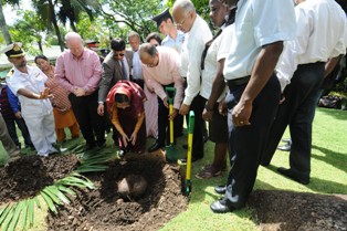 President Patil planting the coco de mer seed