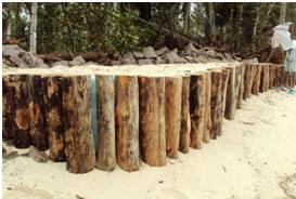 A closer look of the Anse Royale timber piling
