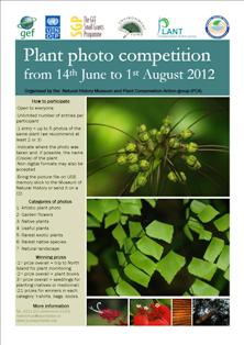  Photo contest to promote Seychelles plants