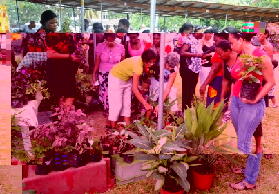 Flower enthusiasts host second colourful flower show