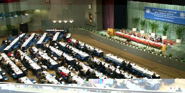 Delegates at the Beijing, China, meeting from November 29  to December 3, 1999