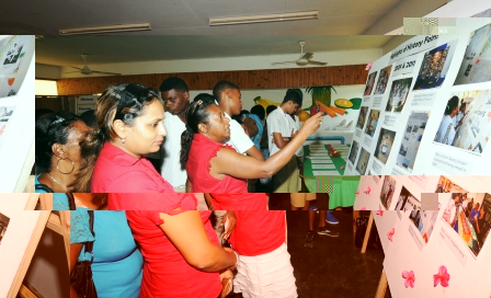 Guests and visitors viewing an exhibition on past history fairs at the launch ceremony on Thursday