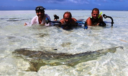 Some of the crew admiring a shark