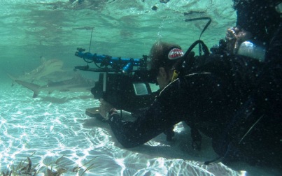 Filming underwater life