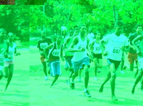 Athletics: cross-country series-Series winners put titles on the line
