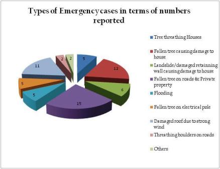 Emergency cases in terms of numbers