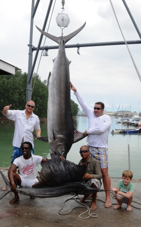 115kg blue marlin attracts large crowd