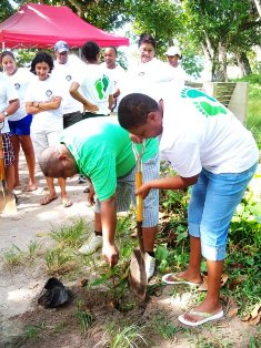 CBS joins in tree-planting campaign