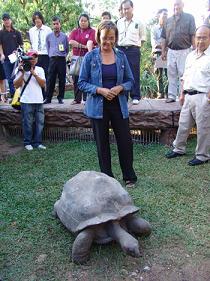 Tortoises’ Thailand trip