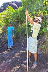 Dr Gérard Rocamora and Nathalie Andy erecting a mist-net to capture the Seychelles White-eyes. Photo by Mike Myers