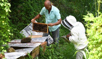 Beekeepers gain skills in rearing of queen bee
