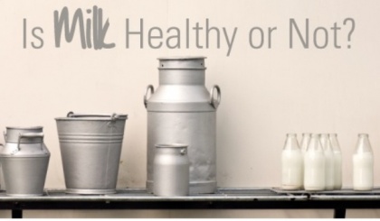 World Milk Day     ‘Milk is the most valuable contributor of constitutive components for the body’s growth’