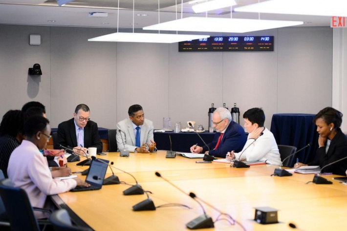 President Faure meets with The Nature Conservancy and the International Finance Corporation