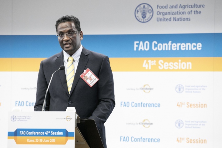 41st session of FAO conference in Rome