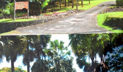 Steen Hansen writes new book on Seychelles National Biodiversity Centre