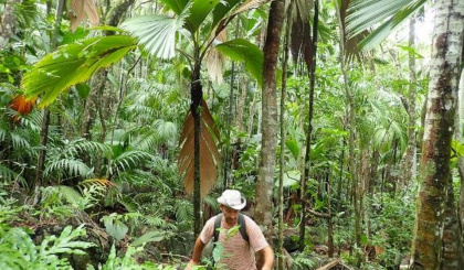 Describing coastal forest on Silhouette Island