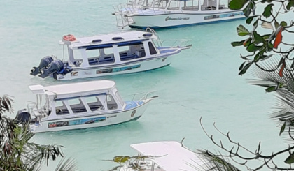 Profile of tourism operators
