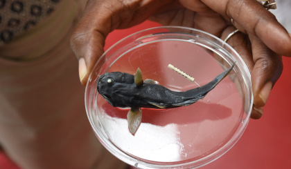 Aquatic science and surveys ongoing in the country