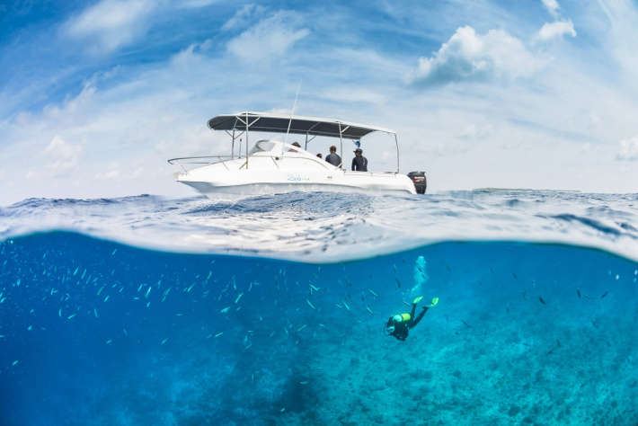 Spotted! Alphonse island’s resident marine biologists discover orcas in Seychelles