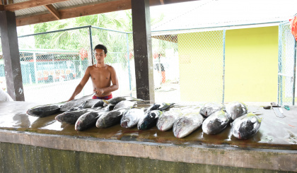 Poissons frais toujours disponibles !