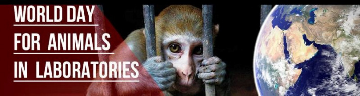 Showing support against animal testing
