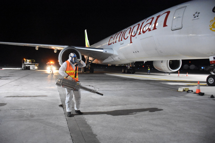 NBA and PHA fog airport after cargo flight lands with moths