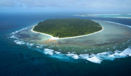 Endangered humphead wrasse thrive in new Seychelles marine protected areas