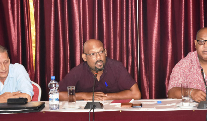 Seychellois artists learning to adopt to digital platform