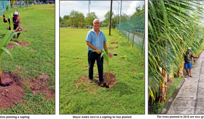 Environment Day