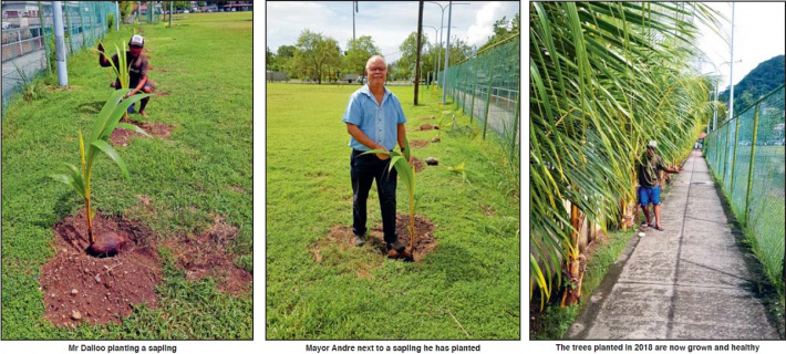 Environment Day