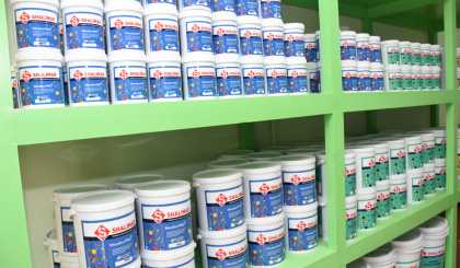 Customise your paint colours at Color Plus