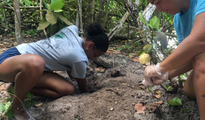 Collaborative conservation