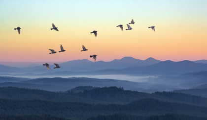 World Ozone Day