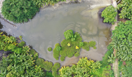 A ghosted marshland of Silhouette Island