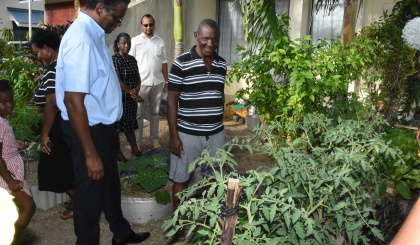 Good harvest for backyard gardeners at Perseverance