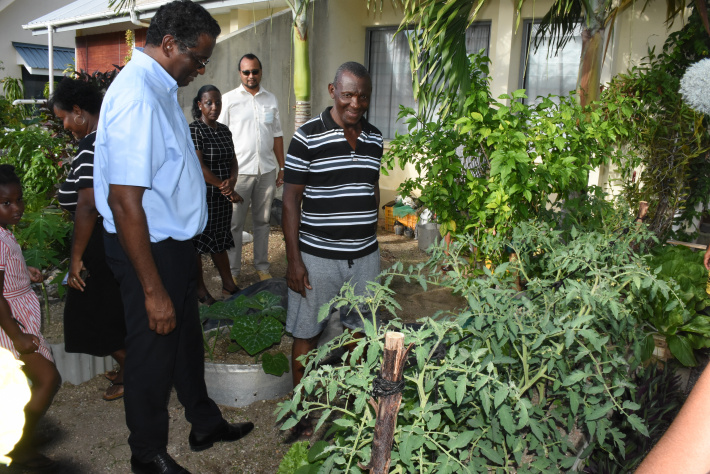 Good harvest for backyard gardeners at Perseverance