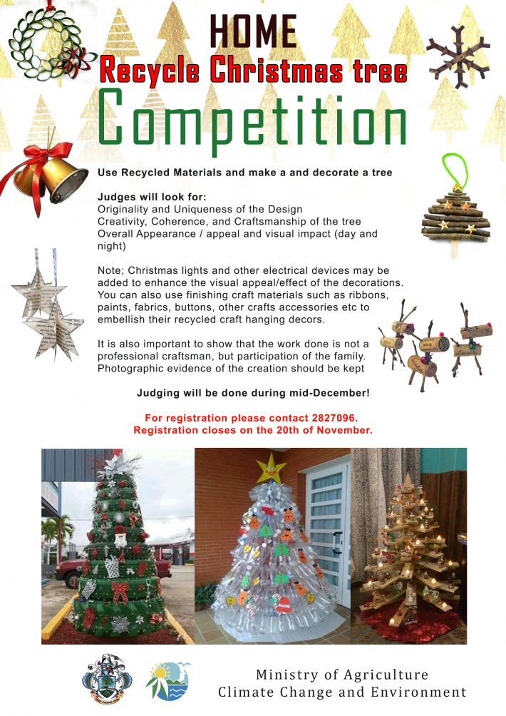 Recycling Christmas tree competition launched