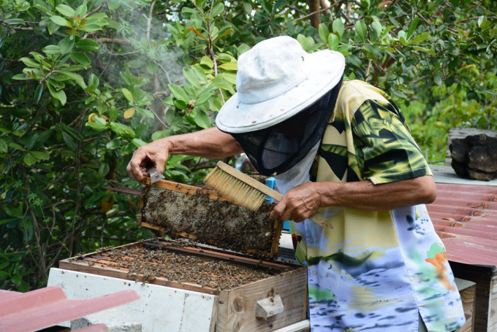 Beekeepers get headquarters at Union Vale