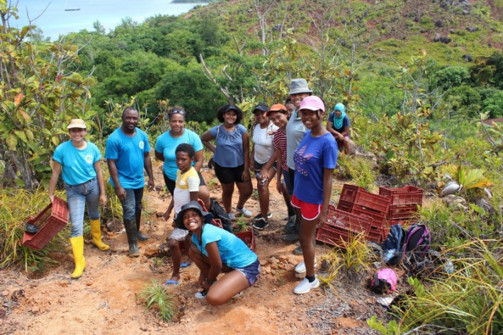 UniSey students engaged in forest rehabilitation on Praslin