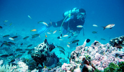 ICS celebrates National Protected Areas Day