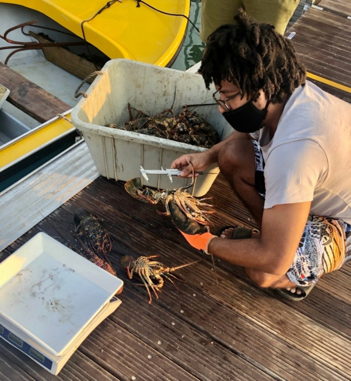 Lobster season extended to April 20