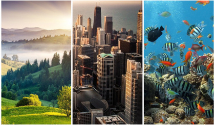 ISS shines in video contest on biodiversity   
