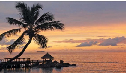 Prism Digital launches e-commerce website for Fisherman’s Cove